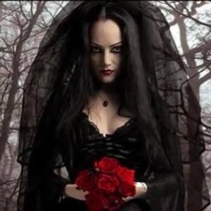 Meet your Posher, Dariusz